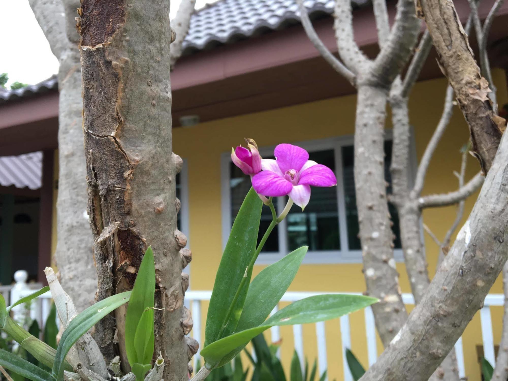 Baan Penny Hotel Phra Nakhon Si Ayutthaya Ngoại thất bức ảnh
